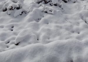 سحر الأبيض في سوس.. ثلوج جماعة “تقي” ترسم لوحة شتوية بضواحي أكادير (+فيديو)