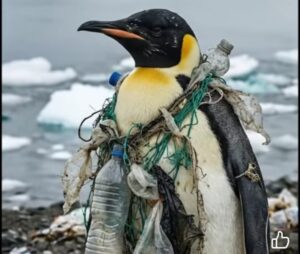 ما ذنب هذه الكائنات البريئة لتدفع ثمن تلوثنا؟