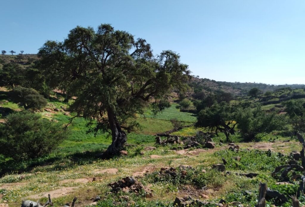 إد الطالب سالم… بلدة الربيع والطبيعة وذاكرة العلم لقبيلة آيت ياسين بقلب الأخصاص