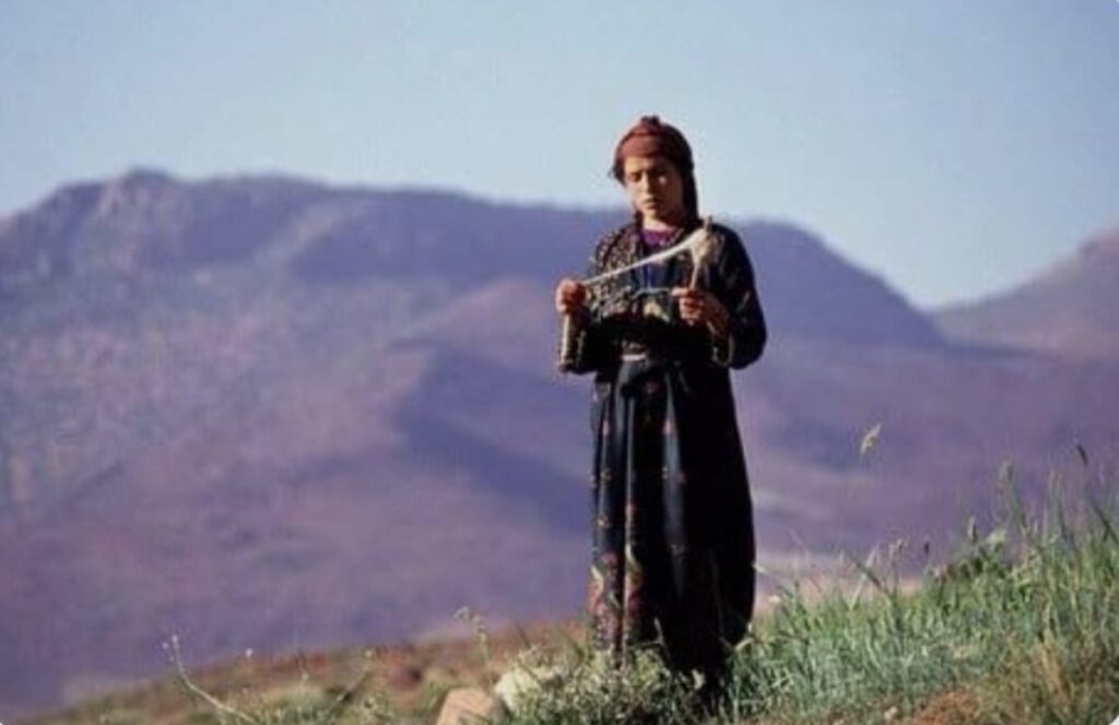 المرأة المغربية… قصة وطن كُتبت بصبر النساء