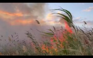 حريق بوادي الساقية الحمراء يستنفر السلطات والوقاية المدنية