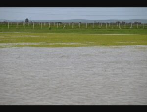 الزراعات الربيعية تواجه مصيرا مجهولا في المناطق المتضررة من الفيضانات