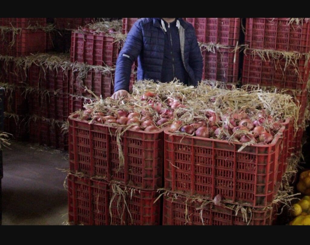 من 70 سنتيما إلى 15 درهما: رحلة البصل بين الإنتاج في الضيعات والاحتكار في الأسواق