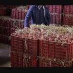 جسور المودة: ثانوية الأميرة لالة مريم تزرع الفرح في مركز حماية الطفولة بأكادير (صور)