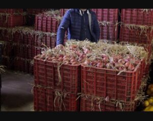 من 70 سنتيما إلى 15 درهما: رحلة البصل بين الإنتاج في الضيعات والاحتكار في الأسواق