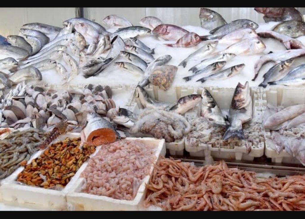 توتر في موانئ المملكة بعد فرض ضوابط مالية صارمة على تجار السمك