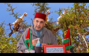 قرار عاملي للوالي أمزازي يمنع جني الأركان بأكادير إداوتنان حتى نهاية غشت