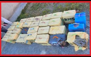 عملية “عامر السفلية”.. الأمن المغربي يوجه ضربة موجعة لشبكات الترويج ويحجز 865 كيلوغراماً من الشيرا