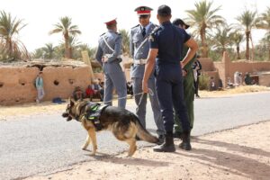 استنفار أمني بزاكورة: الكلاب المدربة تقتفي أثر الطفل المختفي يونس العلاوي وعامل الإقليم يتدخل (+صور)