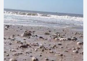 شاطئ أكادير في عين العاصفة: هل تبتلع التعرية والتلوث “جوهرة الجنوب”؟