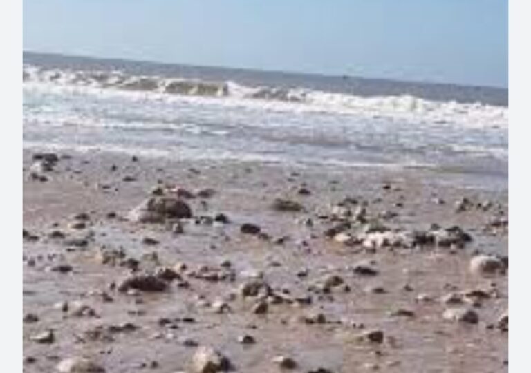 شاطئ أكادير في عين العاصفة: هل تبتلع التعرية والتلوث “جوهرة الجنوب”؟