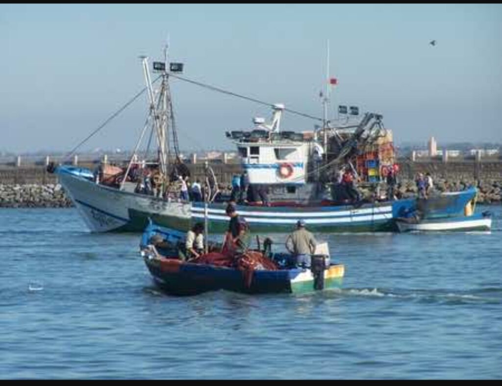 قطاع الصيد البحري بالمغرب على فوهة بركان: تحذيرات من “توقف المراكب” ومطالب بتسقيف أسعار المحروقات