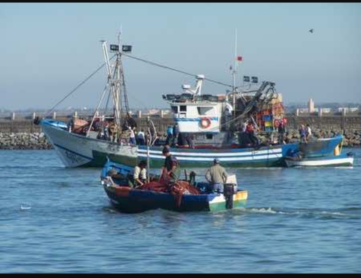 قطاع الصيد البحري بالمغرب على فوهة بركان: تحذيرات من توقف المراكب ومطالب بتسقيف أسعار المحروقات 