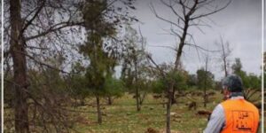 الحبس النافذ ينهي مغامرة رعاة رحل اعتدوا على عون سلطة باشتوكة أيت باها