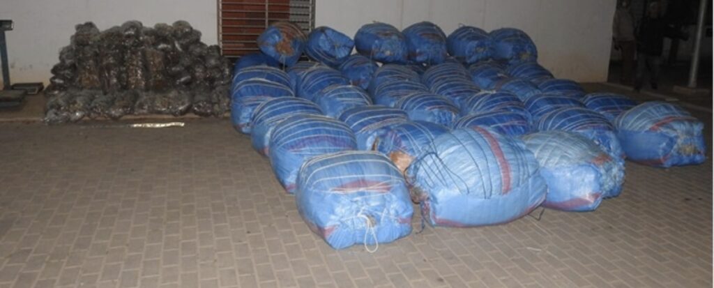 عمليات متزامنة للأمن الوطني ترعب تجار المخدرات بعدة مدن