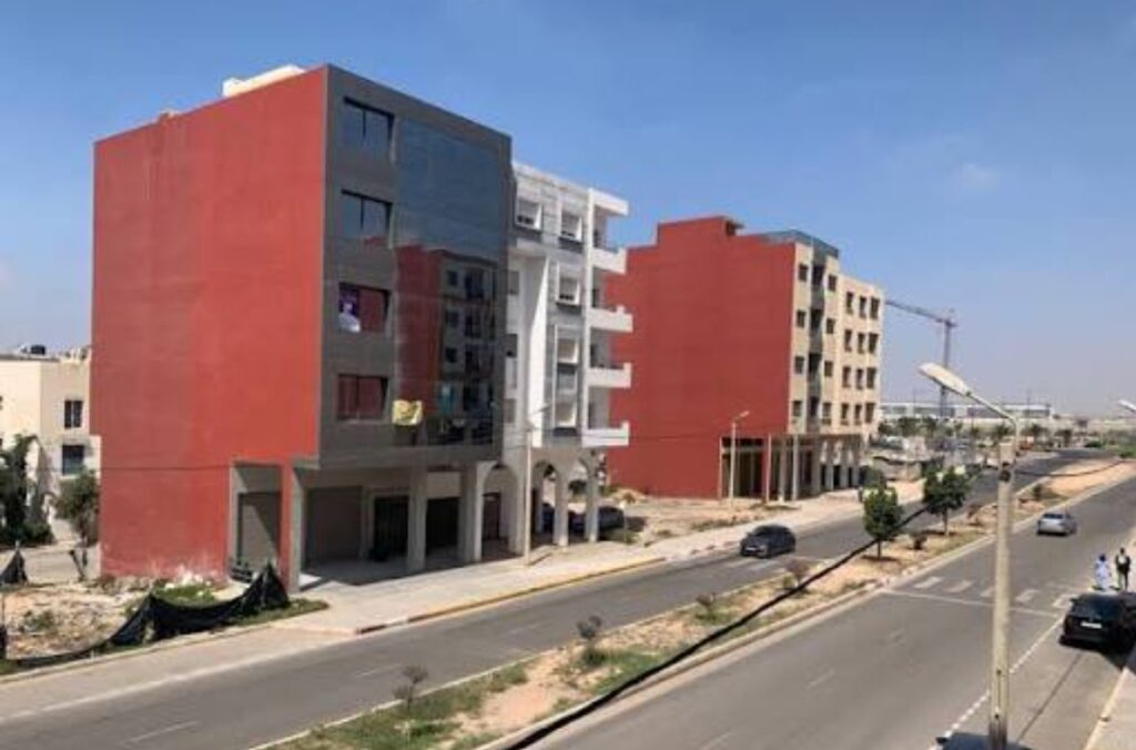 نخيل يحتضر بمنتزه تيليلا.. جمالية مفقودة وأسئلة معلقة بأكادير