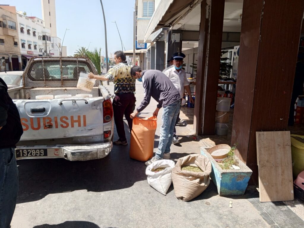 قائدة الملحقة الإدارية الخامسة تقود حملة ميدانية واسعة لتحرير الملك العمومي بأكادير (صور)