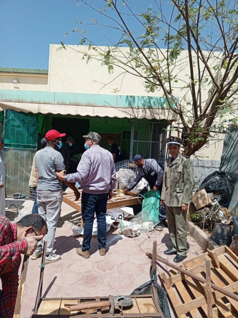 قائدة الملحقة الإدارية الخامسة تقود حملة ميدانية واسعة لتحرير الملك العمومي بأكادير (صور)