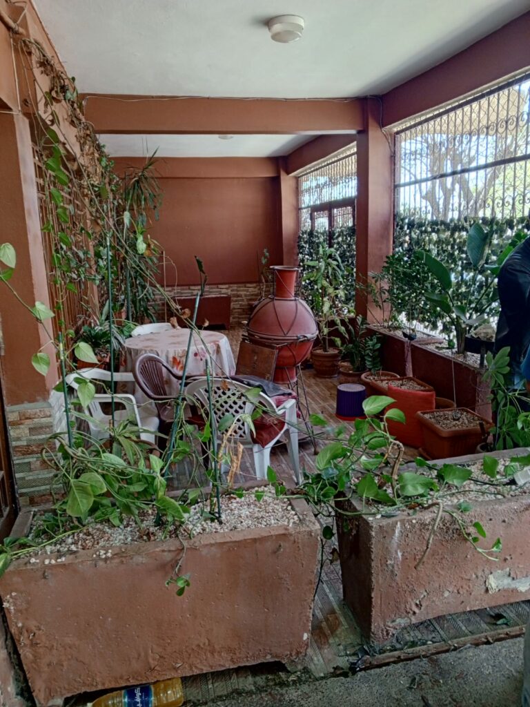 قائدة الملحقة الإدارية الخامسة تقود حملة ميدانية واسعة لتحرير الملك العمومي بأكادير (صور)