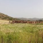 ارتفاع الحرارة يفاقم معاناة سكان أحياء بأكادير مع روائح مطرح للنفايات