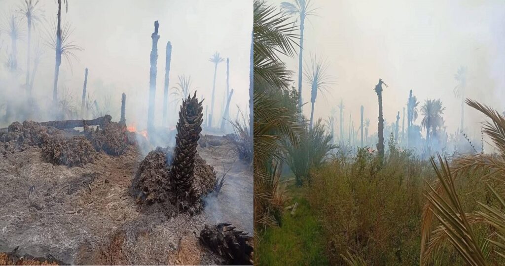 حريق مهول يضرب واحة أيت وابلي بطاطا.. استنفار واسع وجهود متواصلة لمحاصرة النيران