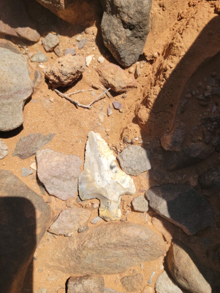 اكتشافات أثرية غير مسبوقة بإقليم السمارة.. موقع “خنكة اكسات” يكشف أسرار ما قبل التاريخ (+ صور)