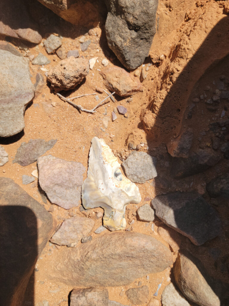 اكتشافات أثرية غير مسبوقة بإقليم السمارة.. موقع “خنكة اكسات” يكشف أسرار ما قبل التاريخ (+ صور)