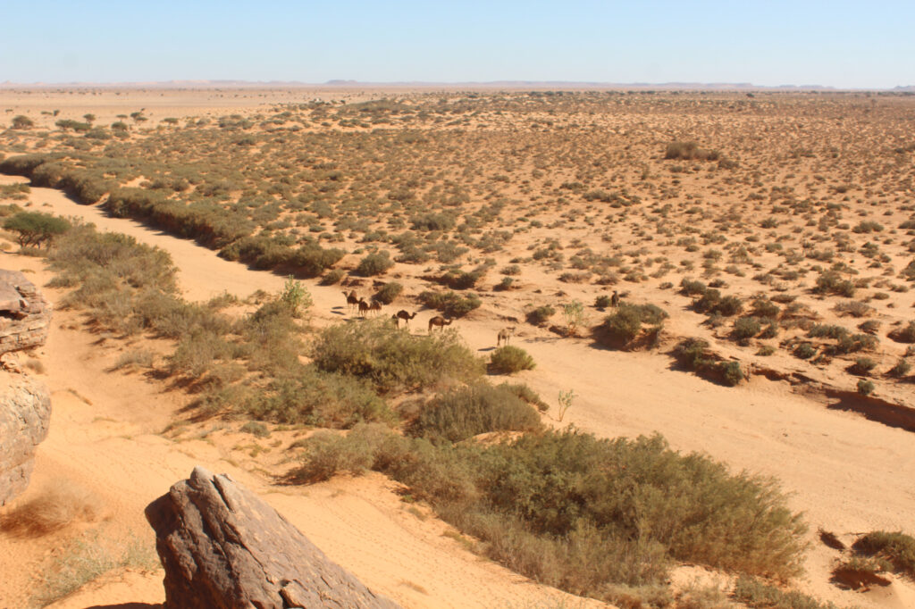 اكتشافات أثرية غير مسبوقة بإقليم السمارة.. موقع “خنكة اكسات” يكشف أسرار ما قبل التاريخ (+ صور)