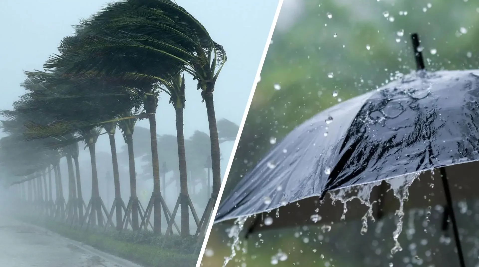 طقس الاثنين بالمغرب.. أمطار رعدية بسوس ورياح قوية تضرب عدة مناطق