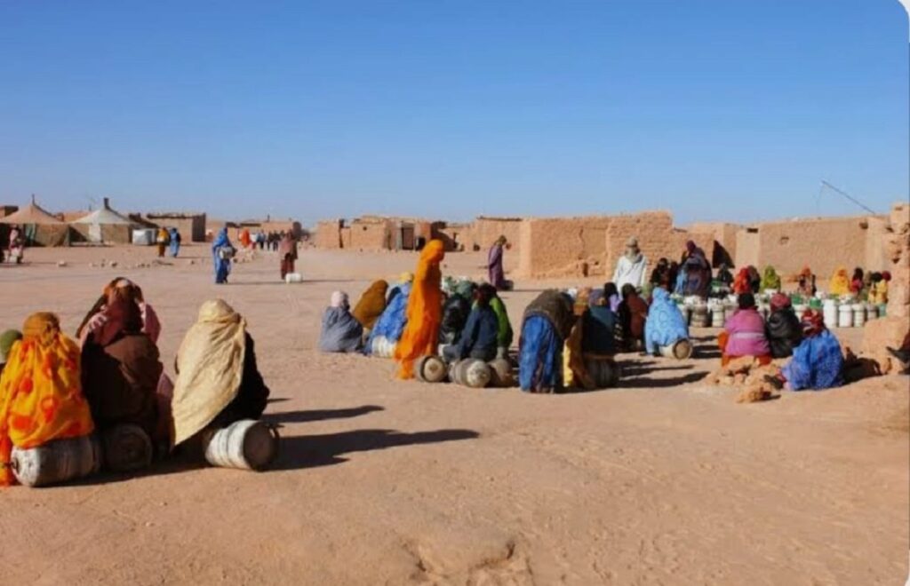 من تقرير المصير إلى تصريف الأزمة: الجزائر تجرّ قنبلة تندوف نحو المنطقة العازلة