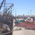 مراكب الصيد في العيون وطرفاية تعلق النشاط مؤقتا قبل عيد الأضحى
