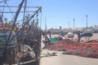 مراكب الصيد في العيون وطرفاية تعلق النشاط مؤقتا قبل عيد الأضحى
