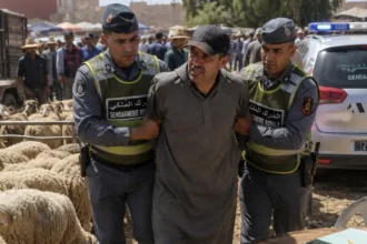 توقيف “شناق” برحبة بيع الأضاحي بأولاد دحو بعد تشديد المراقبة داخل السوق - أكادير24