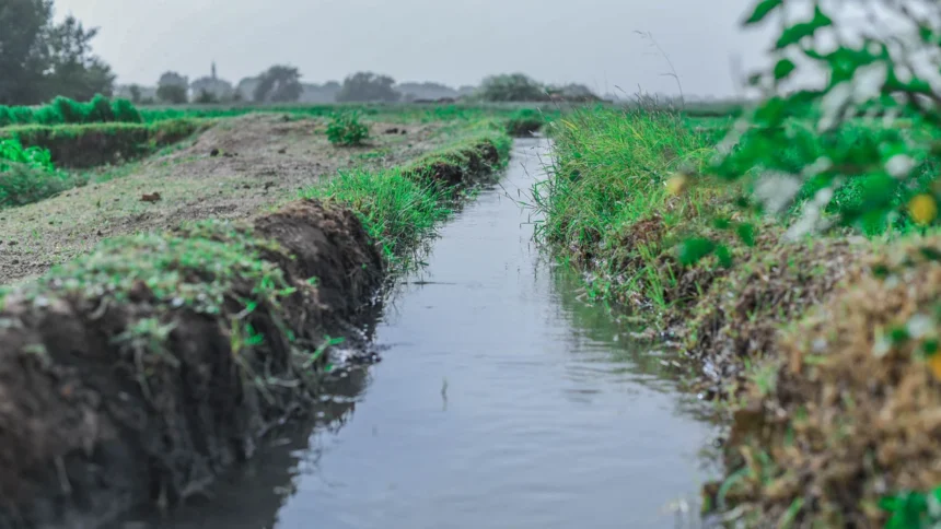 cours d'eau
