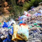 انتشار النفايات العشوائية داخل غابة أغروض بطريق إيموزار التابعة لجماعة تامري