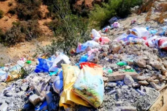 انتشار النفايات العشوائية داخل غابة أغروض بطريق إيموزار التابعة لجماعة تامري