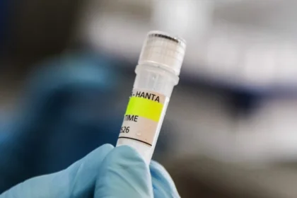 hanta