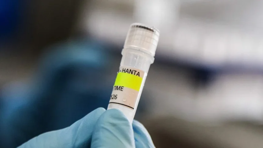 hanta