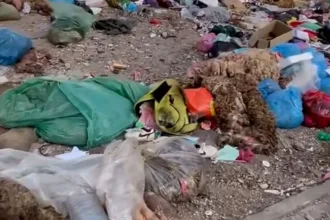 نفايات أكادير