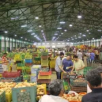 سوق الخضر والفواكه بالمغرب