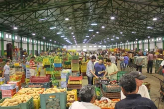 سوق الخضر والفواكه بالمغرب