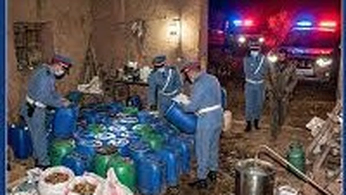 الدرك الملكي بأولاد برحيل يفكك مصنعا سريا للماحيا بتارودانت 