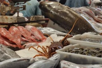 marché de gros aux poissons