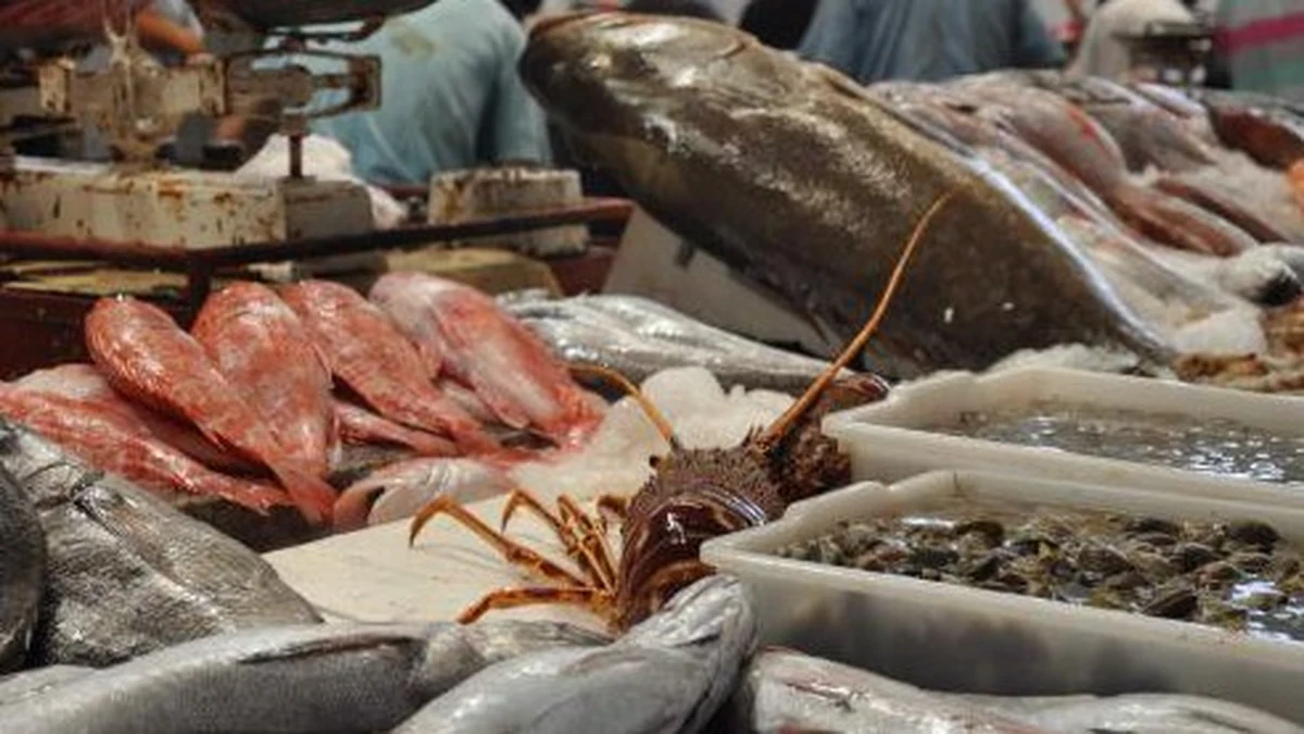 marché de gros aux poissons