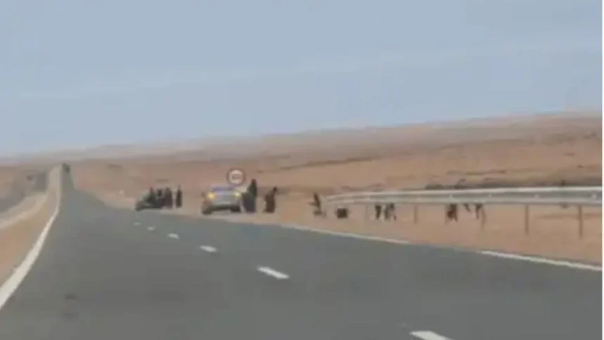 عملية أمنية للدرك الملكي بتيزنيت تسفر عن توقيف سيارتين تقلان مرشحين للهجرة غير النظامية.