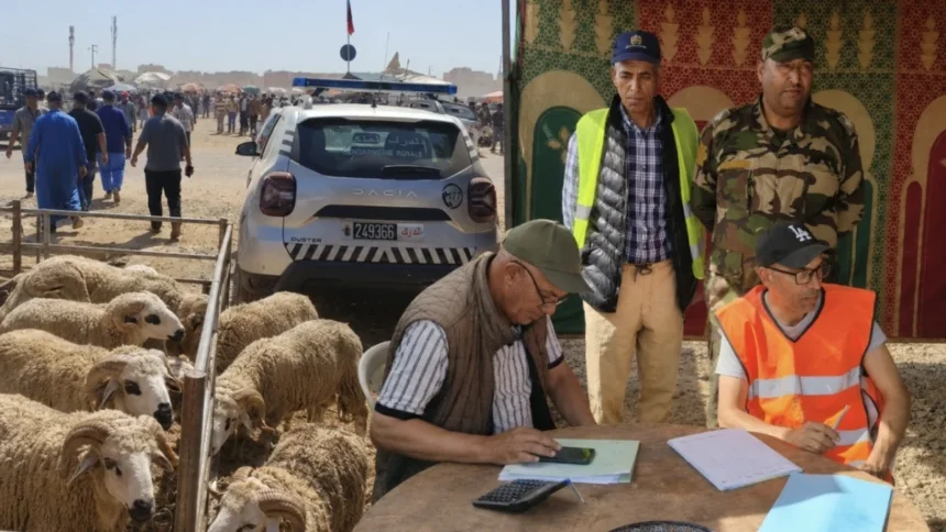 تنظيم محكم للسوق الأسبوعي بأولاد دحو استعدادا لعيد الأضحى وسط إشادة واسعة بالمجهودات الأمنية والإدارية - أكادير24