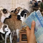تسبيق أجور ماي وتأثيره على مصاريف عيد الأضحى وشهر يونيو