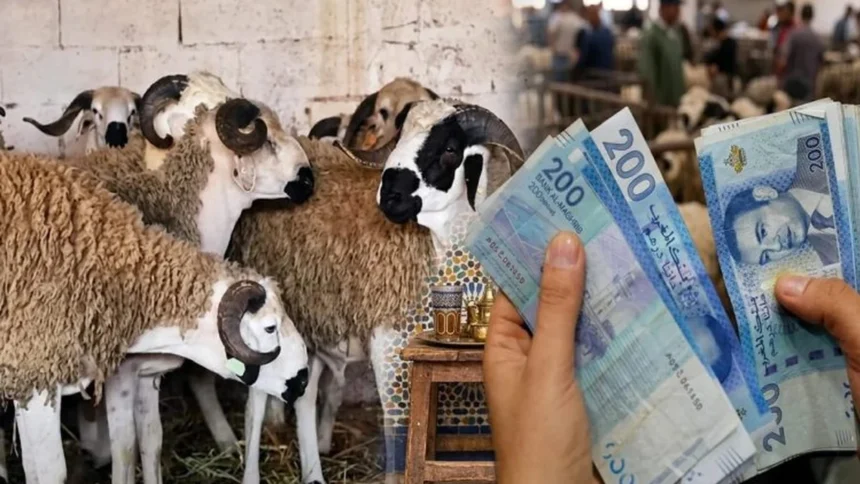 تسبيق أجور ماي وتأثيره على مصاريف عيد الأضحى وشهر يونيو