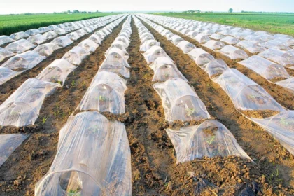 plastiques agricoles
