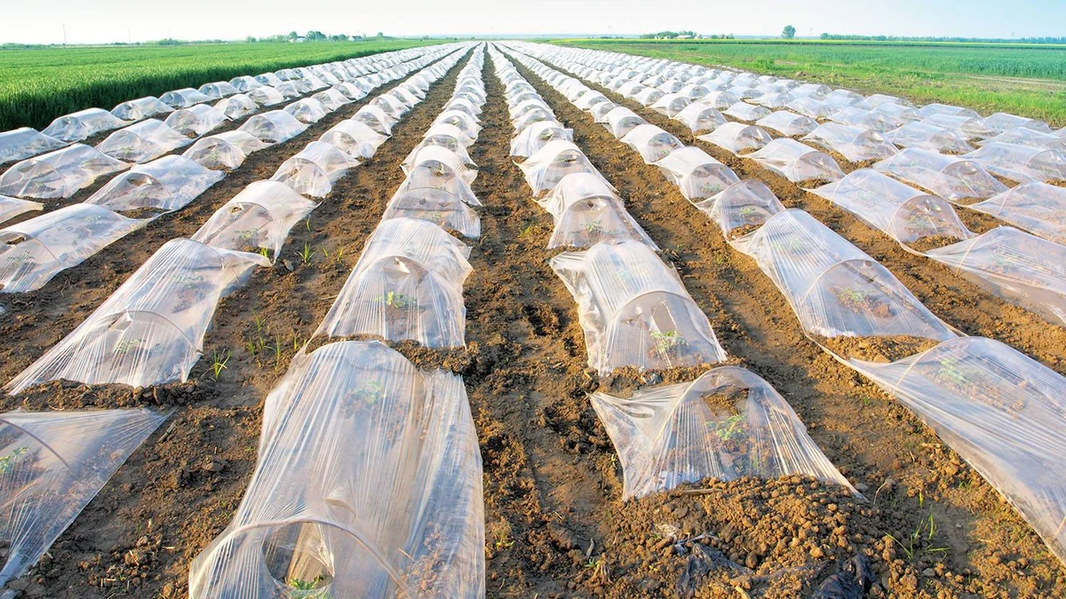 plastiques agricoles
